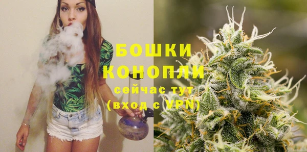 прущий лед Абаза