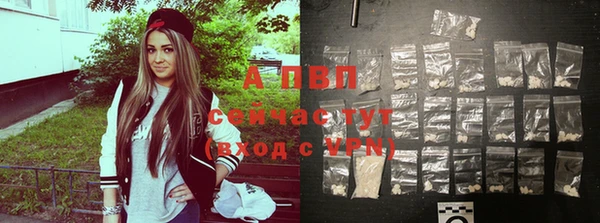 прущий лед Абаза